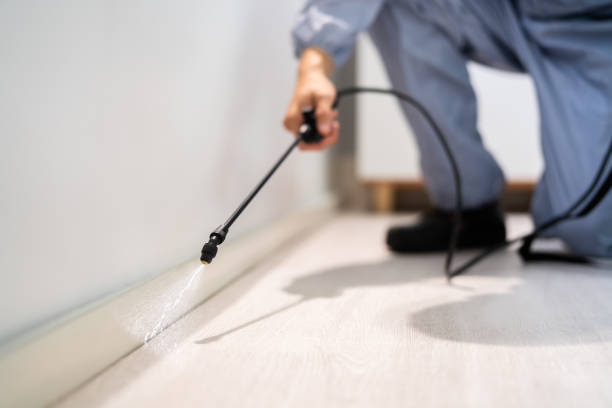 Licensed Termite Control service in Sullivan, IL - Nex Pest Control