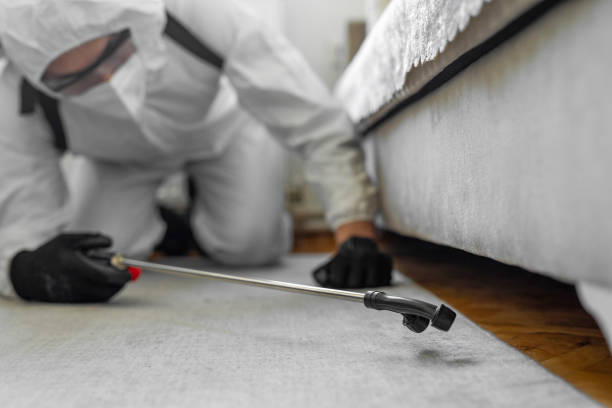 Professional Termite Control technician working in Sullivan, IL