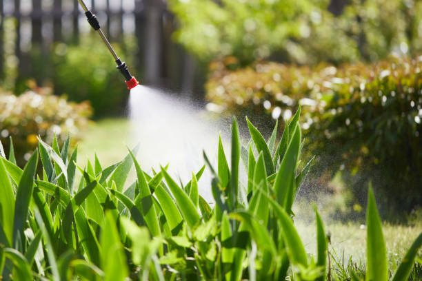 24/7 Emergency Termite Control experts in Sullivan, IL
