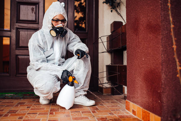 Reliable Termite Control contractor in Sullivan, IL by Nex Pest Control