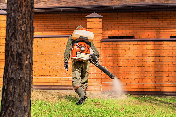 Top rated local Termite Control specialists in Sullivan, IL